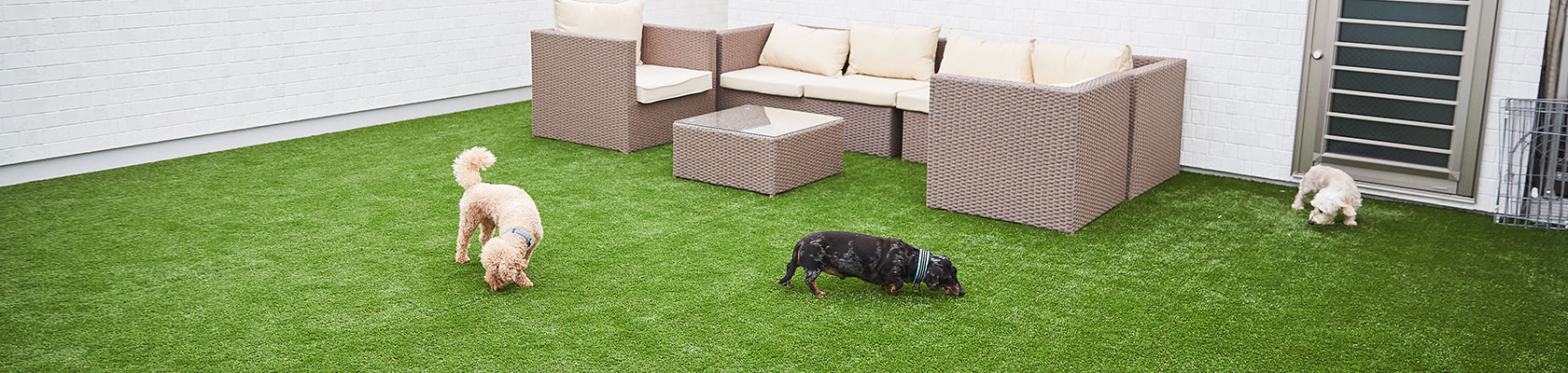 ペットホテル（ドッグラン付）